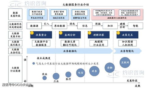 《中国商业大数据服务行业蓝皮书》发布 洞见未来，数据赋能社会经济咨询新篇章